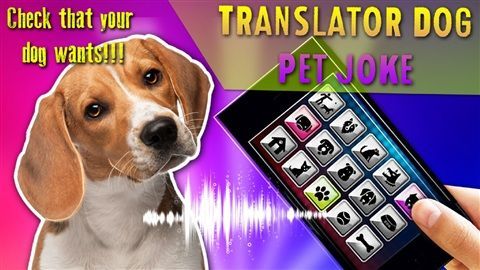 PetTranslator0