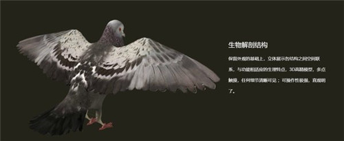 NB生物实验室破解版下载 v2.5.0 初高中版1