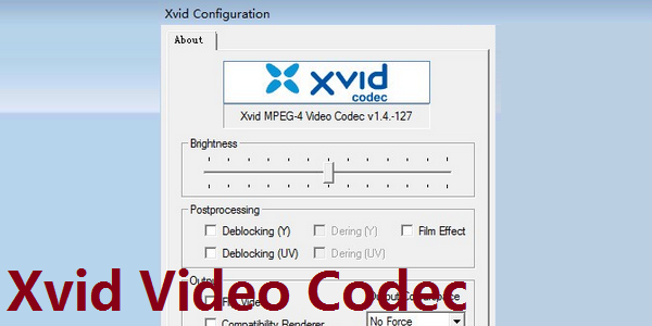 Xvid Video Codec v1.4.127 最新版0