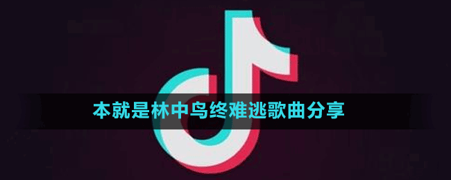 本就是林中鸟终难逃是什么歌