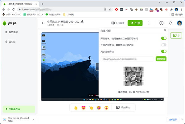 芦笋v0.12.5