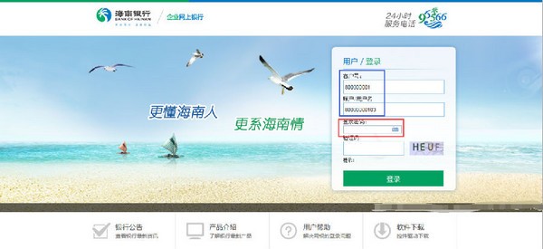 海南银行网银助手