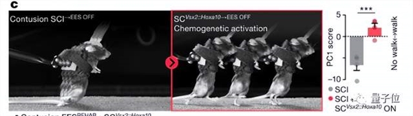 电刺激让瘫痪者重新行走原理找到了：3人已治疗成功