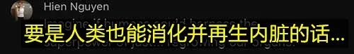 世界上飞最远的鸟：11天狂奔1万公里不带停 饿了吃自己内脏