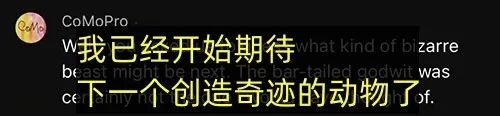 世界上飞最远的鸟：11天狂奔1万公里不带停 饿了吃自己内脏