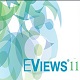 eviews