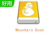 Mountain Duck