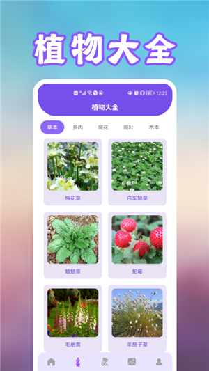 花朵识别app手机版2