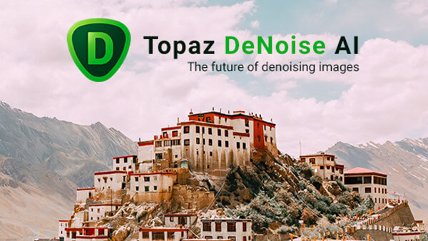 Topaz DeNoise AI 3 v3.0.0 破解版1