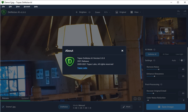 Topaz DeNoise AI 3 v3.0.0 破解版2