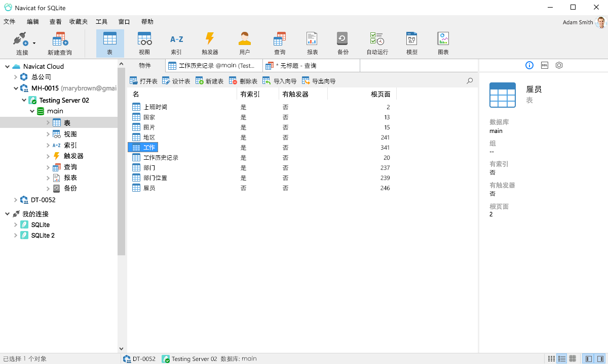 Navicat for SQLite(SQLite数据库管理) v15.0.14.0 中文破解版1