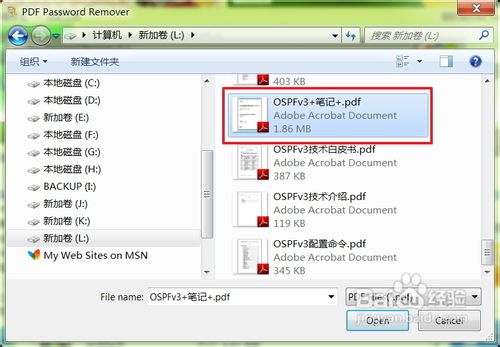 PDF Password Remover汉化版使用方法5