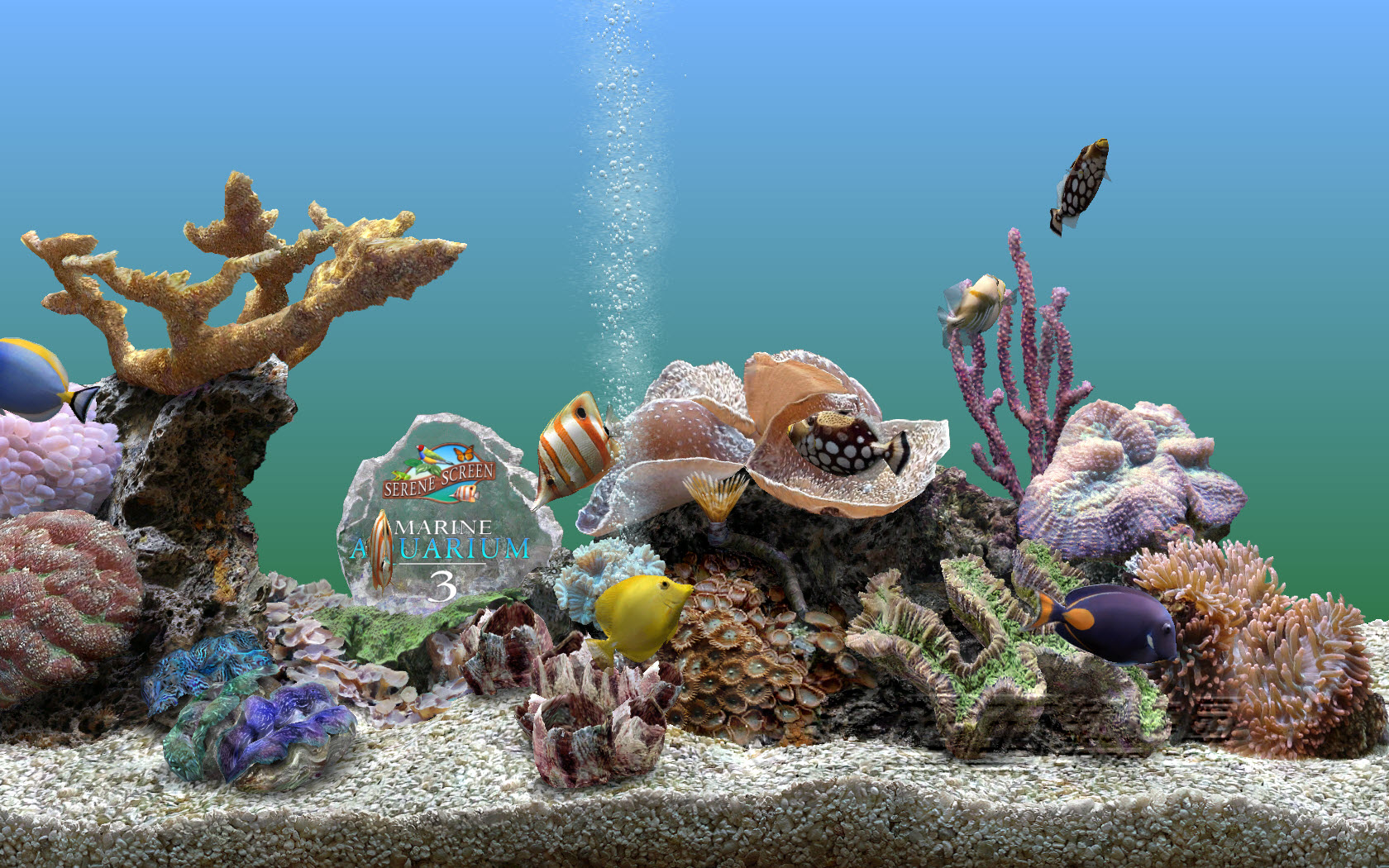 SereneScreen Marine Aquarium v3.3.6341 免注册汉化版1