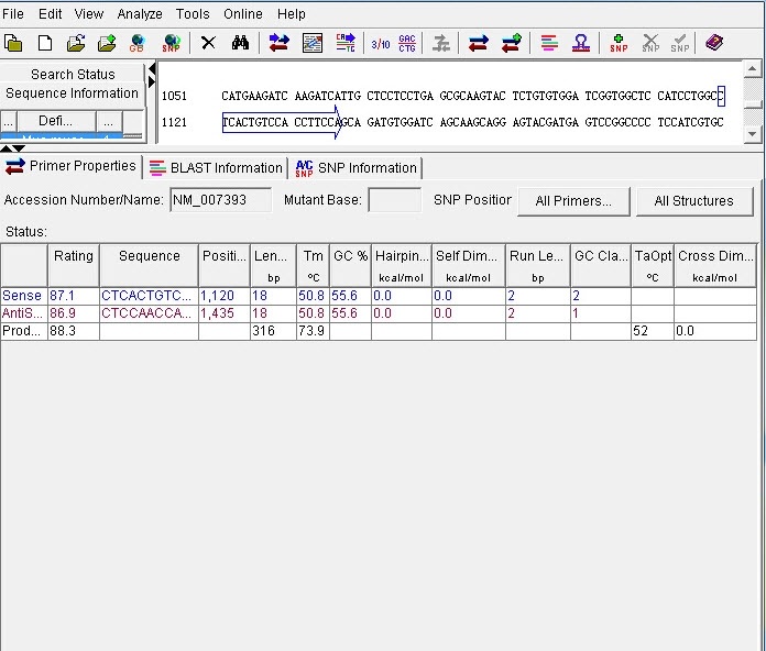 primer5引物设计软件v5.0 免费版(1)