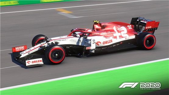 F12020中文版1