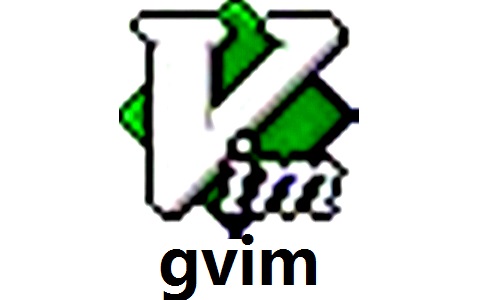 gvim