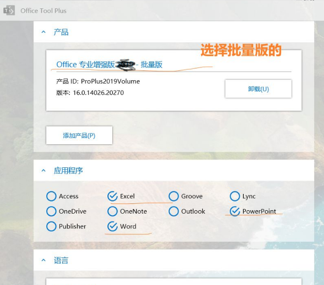 office激活工具kms最新下载v11.2.01