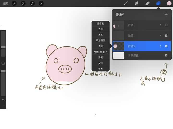 procreate pocket破解版0