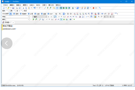 EmEditor免费版v21.4.10