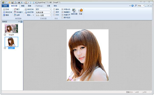 HyperSnap下载v8.20