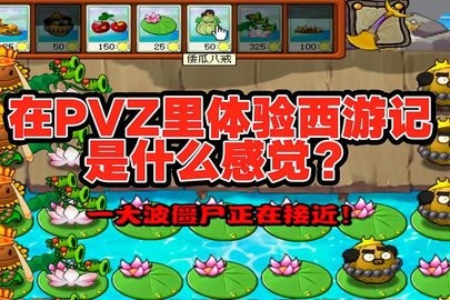 植物大战僵尸西游版1