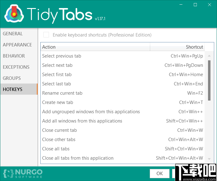 TidyTabs Pro 窗口管理器 v1.22 