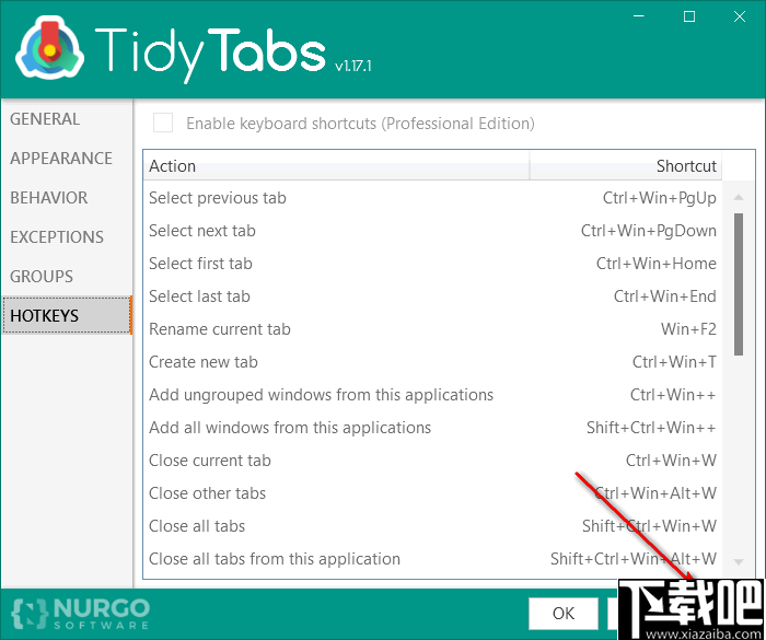 TidyTabs Pro 窗口管理器 v1.22 