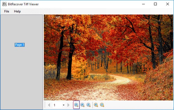 BitRecover Tiff Viewer(TIFF文件查看器) v2.3 免费版
