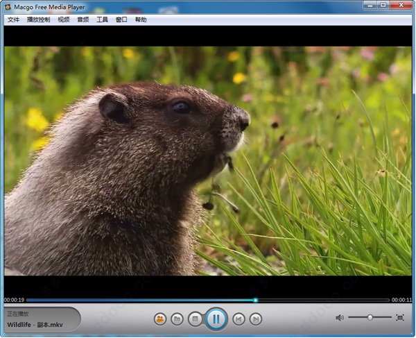 Macgo Free Media Player(视频播放器) v2.17.2绿色版