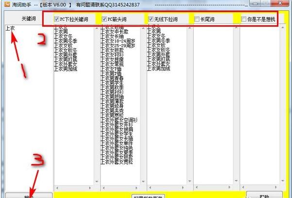 淘词助手2