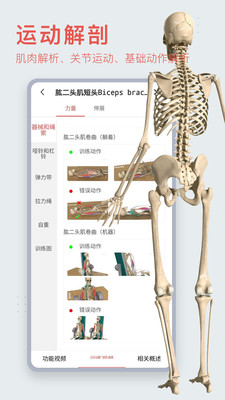 3DBody人体解剖appv8.6.03安卓版0