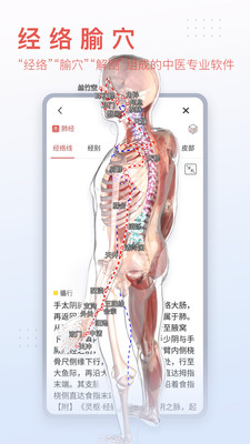 3DBody人体解剖appv8.6.03安卓版1