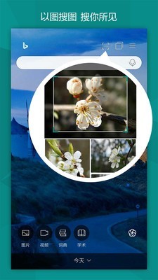 微软必应Bingv6.9.6国际版2