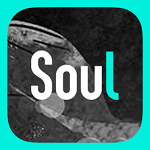 Soulv3.17.0安卓版