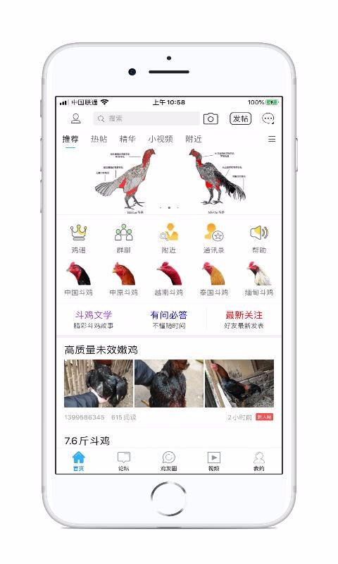 中国斗鸡论坛正版v2.6.7最新版2