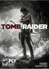 古墓丽影9 Tomb Raider9 中文版