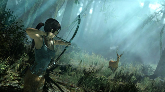 古墓丽影9 Tomb Raider9 中文版