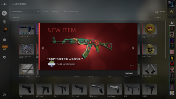 csgo单机版电脑版图片9