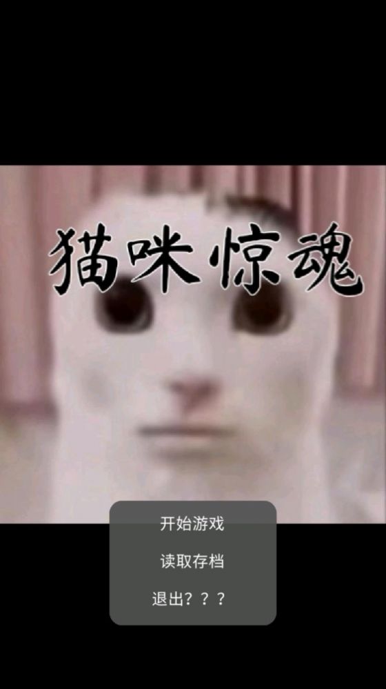 小猫惊魂2