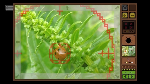 昆虫搜寻者游戏图片1