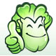 大白菜一键重装系统 V7.0.10.19 绿色版