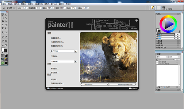 Corel Painter 11电脑版