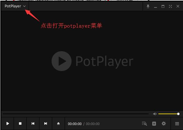 PotPlayer中文版官方版