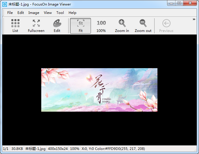 FocusOn Image Viewer v1.25.1绿色版