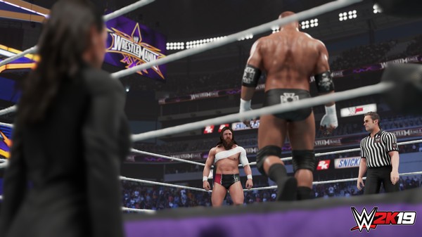 wwe2k19免安装版0