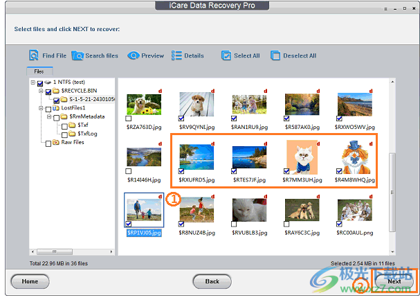 iCare Format Recovery 数据恢复软件 V6.2