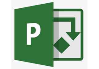 Microsoft Project 2019中文版