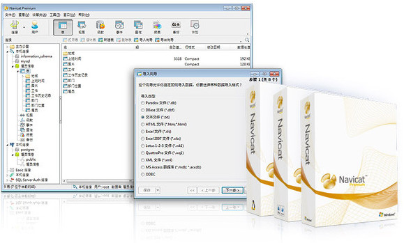 Navicat Premium数据库管理V16.0.40