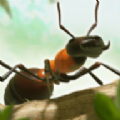 蚂蚁指挥官手机最新版安卓版 v1.0.0
