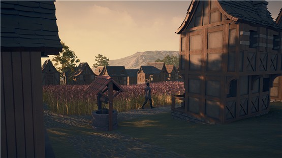 新家园：中世纪村庄最新版1